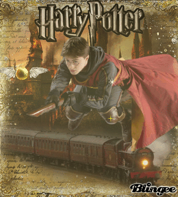 Gif Harry Potter